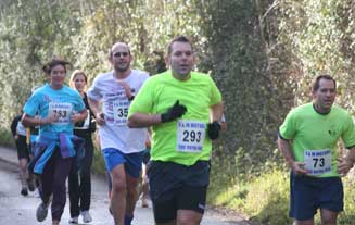 Group of runners last half mile